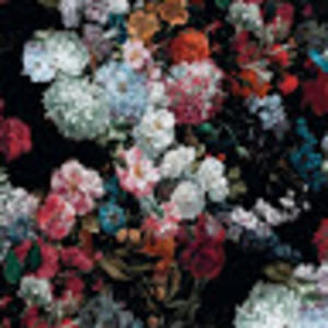 Meet your Posher, Callum